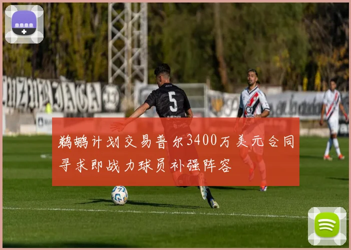 鹈鹕计划交易普尔3400万美元合同寻求即战力球员补强阵容